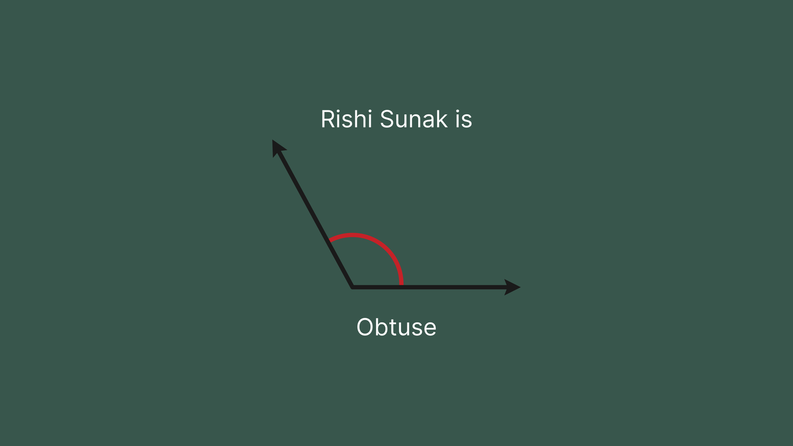 "Rishi Sunak is Obtuse" - Compulsory Maths Pun - Green Banner
